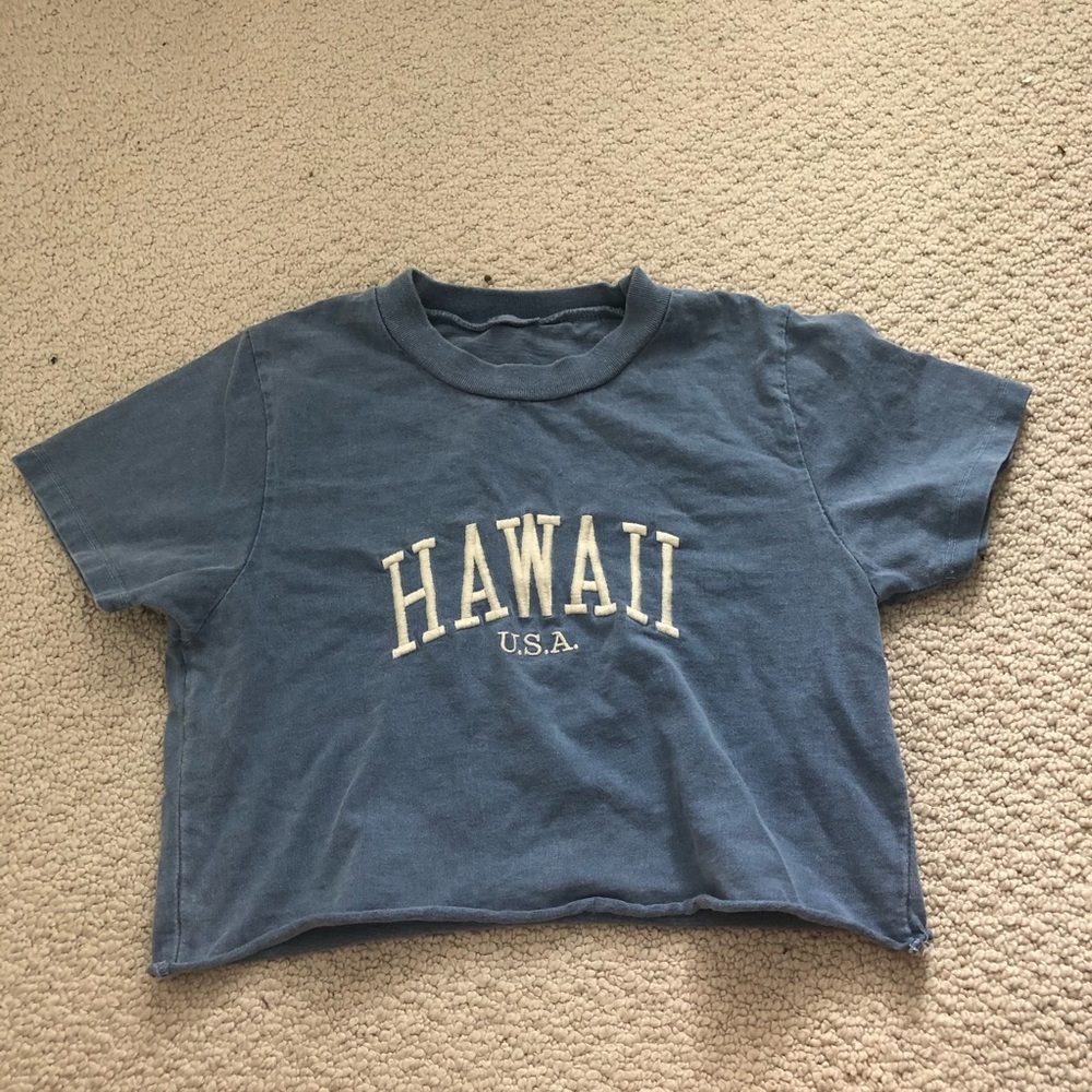 Brandy Melville cropped Hawaii t-shirt